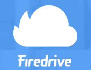 Firedrive Logo