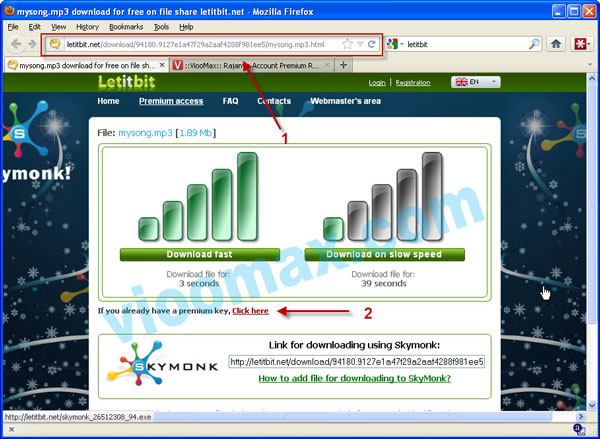 Gambar informasi file yang tersimpan di Server Letitbit