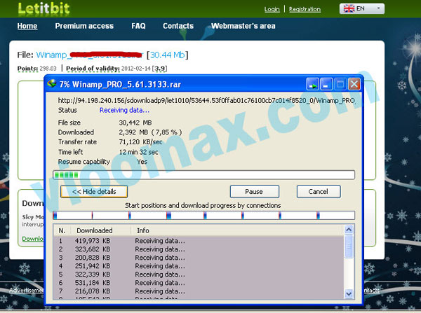 Gambar Download Letitbit menggunakan IDM